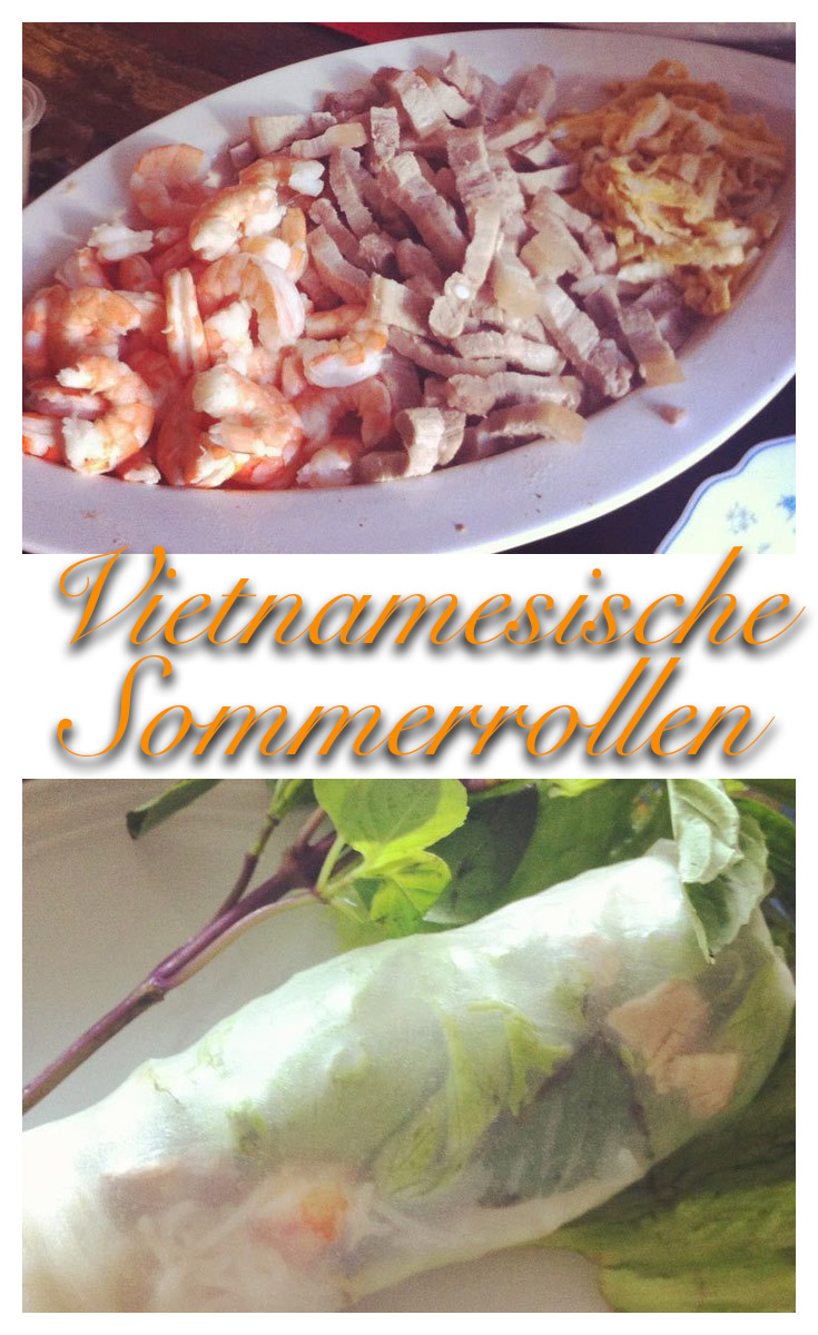 Goi Cuon Vietnamesische Sommerrollen 3