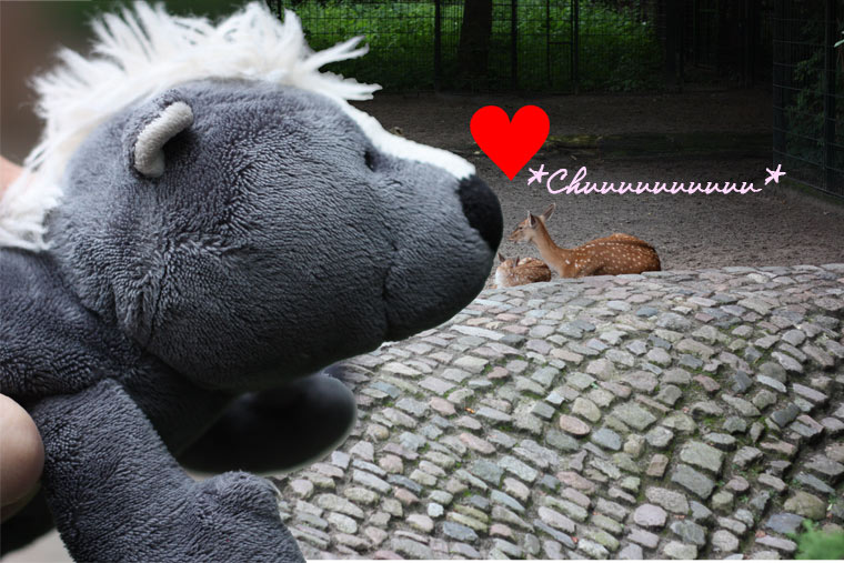 bambi bambi Shots aus dem Berliner Zoo