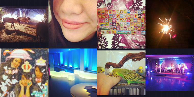 instag15