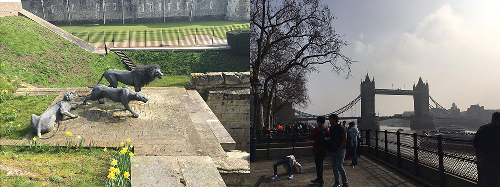 london sightseeing tag (7)